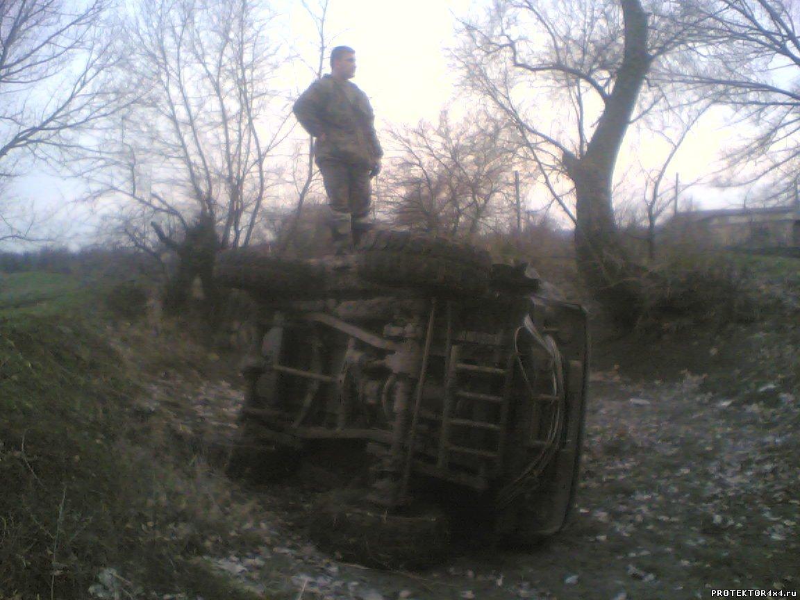 37896155.jpg